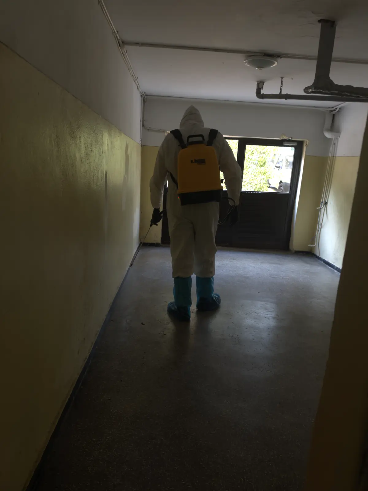 Tehnician DDD aplicând un tratament pe holul unui bloc, cu echipament complet de protecție