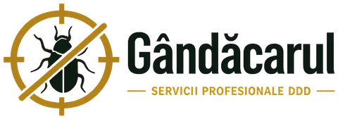 Gândăcarul – servicii profesionale DDD